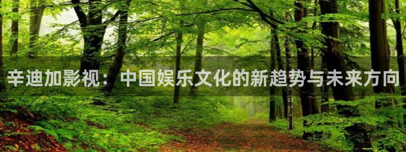 九七电影院 微信：辛迪加影视：中国娱乐文化的新趋势与未来方向