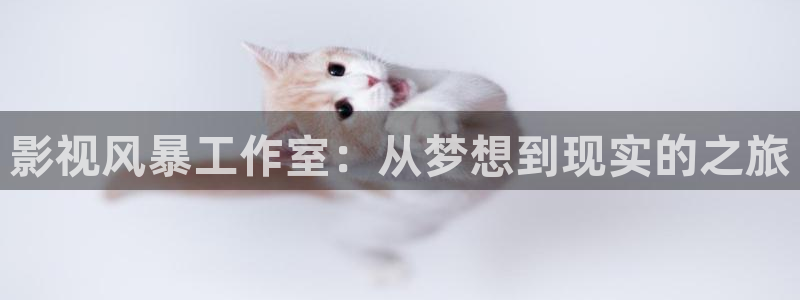 九七影院支持微信观看：影视风暴工作室：从梦想到现实的之旅