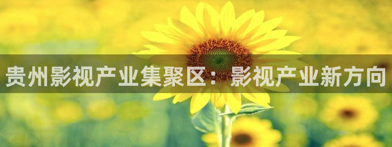 韩国女主播九七电影：贵州影视产业集聚区：影视产业新方向