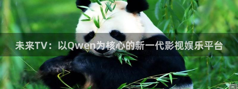 九七手机电影院线：未来TV：以Qwen为核心的新一代影视娱乐平台