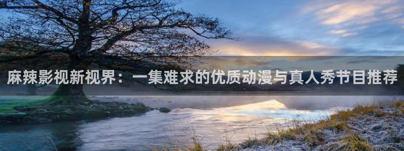 手机影院九七：麻辣影视新视界：一集难求的优质动漫与真人秀节目推荐