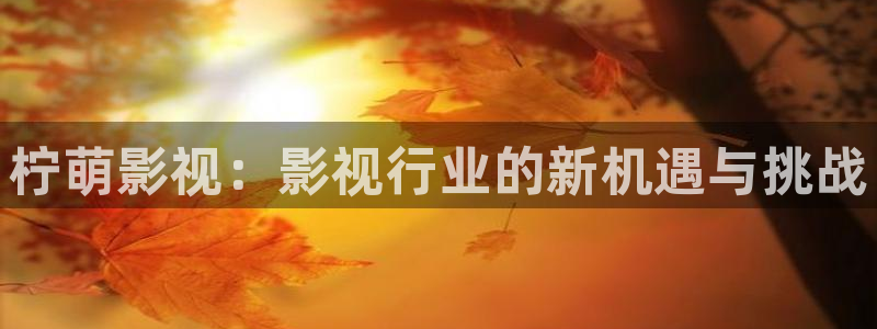 www.九七电影网：柠萌影视：影视行业的新机遇与挑战